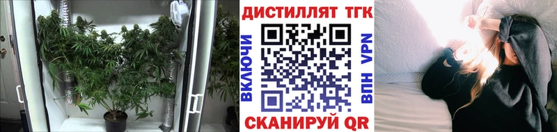 наркошоп  Камызяк  ТГК вейп 