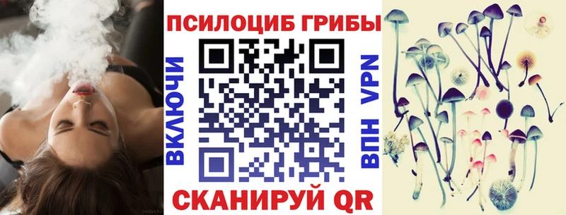 Псилоцибиновые грибы ЛСД  Камызяк 